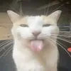 ikrm_68