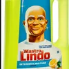 mastrolindoilpotente