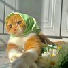 habiba.elshoura