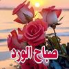 mizajiya12