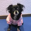 pinkysibiza