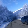 vusal_031_