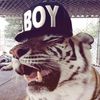 https_bby.rea