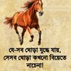 user.01881285997