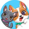 kittensvscorgis