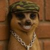 bearmannyy