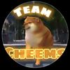 steve_uni10