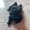 nattyyoshi