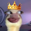 noturjace