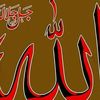 user7503024606291