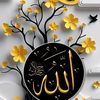 ubaidahmedkhan781