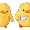 duckgang_quackquack