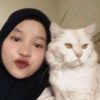 lihdynii_24