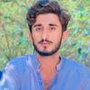 sulmanbirmani313