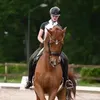 tollefrau40