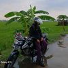mas_gesh