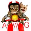 adam_awang