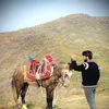 siso.bradosti