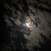 nf__090