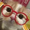 krissiecakes