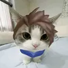 Senji
