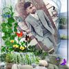 mohsinbutt8057