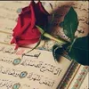 maffgdd8