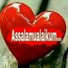 user7733780053986