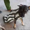 xemtiktokhjwhwjwj