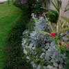 noor568108