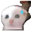 xdiew1201zzz