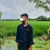 no_sighal_69
