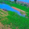 lcotob