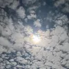 user9920099