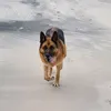 hd.1.3.4.0