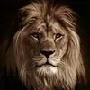 arjun1981271211