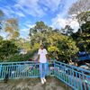 irfan.damanik2