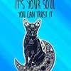 catwoman111112