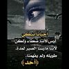 user650155547979