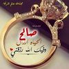 salehtidjaniali