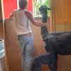 alpacarunfarm