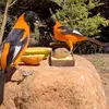 pertinho.da.natur
