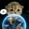 yourgreenpookiecat