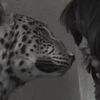 bebo_5112
