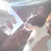 mia_chavez120