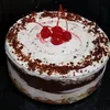 polycake5