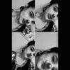 rxtshz_16