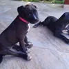 555555777777111112abbbbv