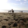 zeus_dogo.valdivia