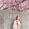 tip_theenidy